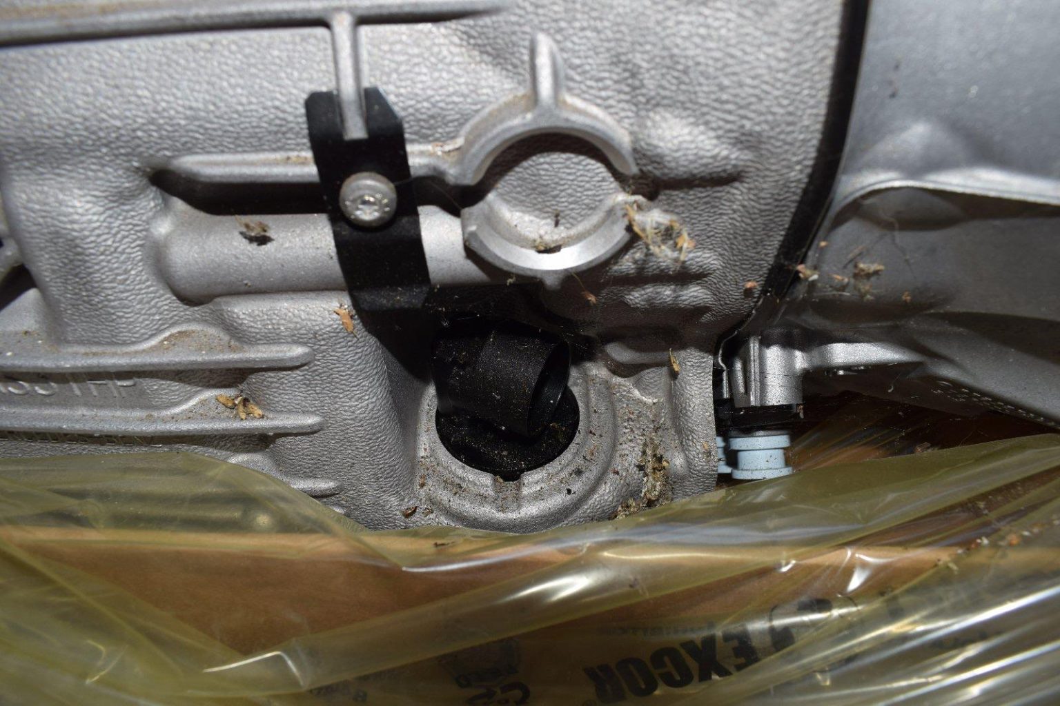 auto draft auto draft